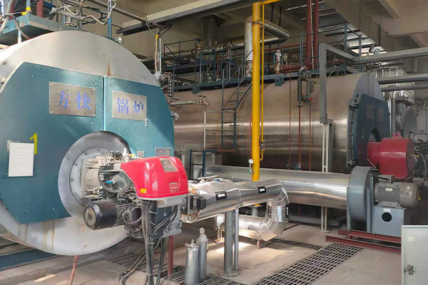 Electric Steam Boiler Vs Gas Advice - FANGKUAIBOILER