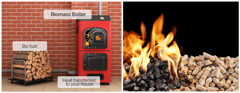 Biomass Boiler Prices