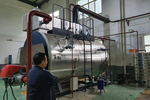 Best Steam boiler replacement cost in [2023]